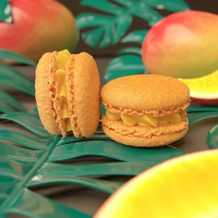 Mango-Pineapple Macaron Edmonton | Tisto Cakes