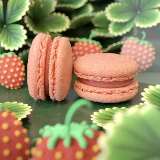 Strawberry Macaron Edmonton | Tisto Cakes