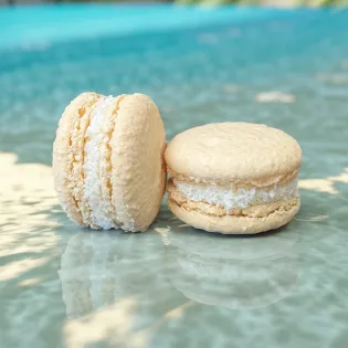 Coconut Macaron Edmonton | Tisto Cakes
