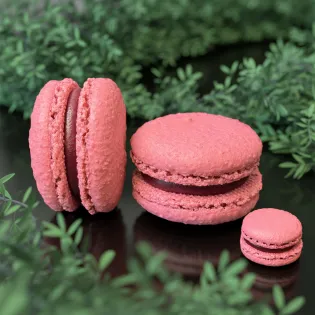 Black Currant Macaron Edmonton | Tisto Cakes