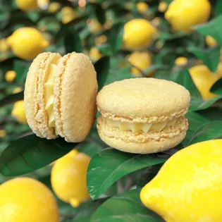 Lemon Macaron Edmonton | Tisto Cakes